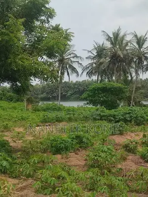 Investissement Côte d'Ivoire