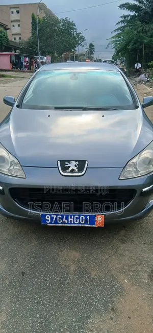 Peugeot 407 2.0 Esplanade 2005 Gris