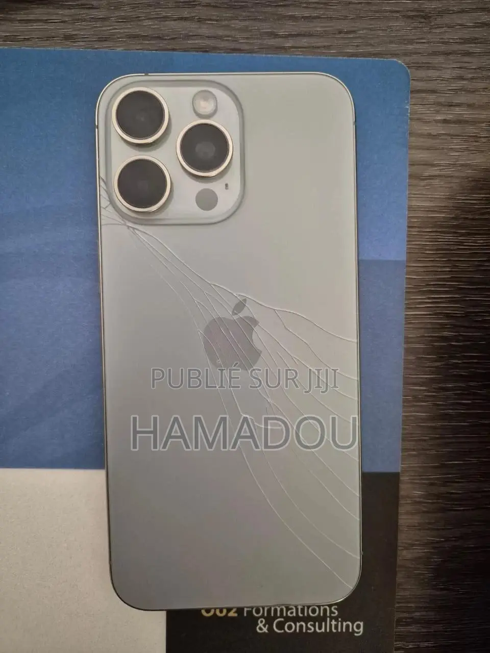 Pomme iPhone 15 Pro Max 256 GB Gris