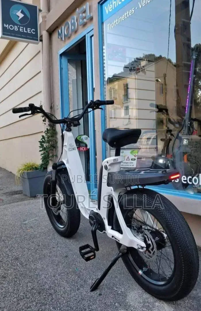 Vélo Électrique