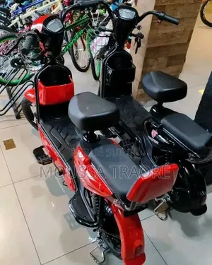 Vélo Électrique