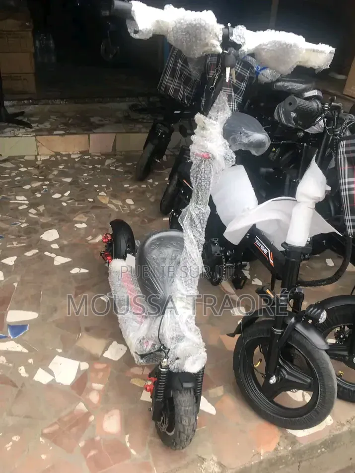 Vélo Électrique