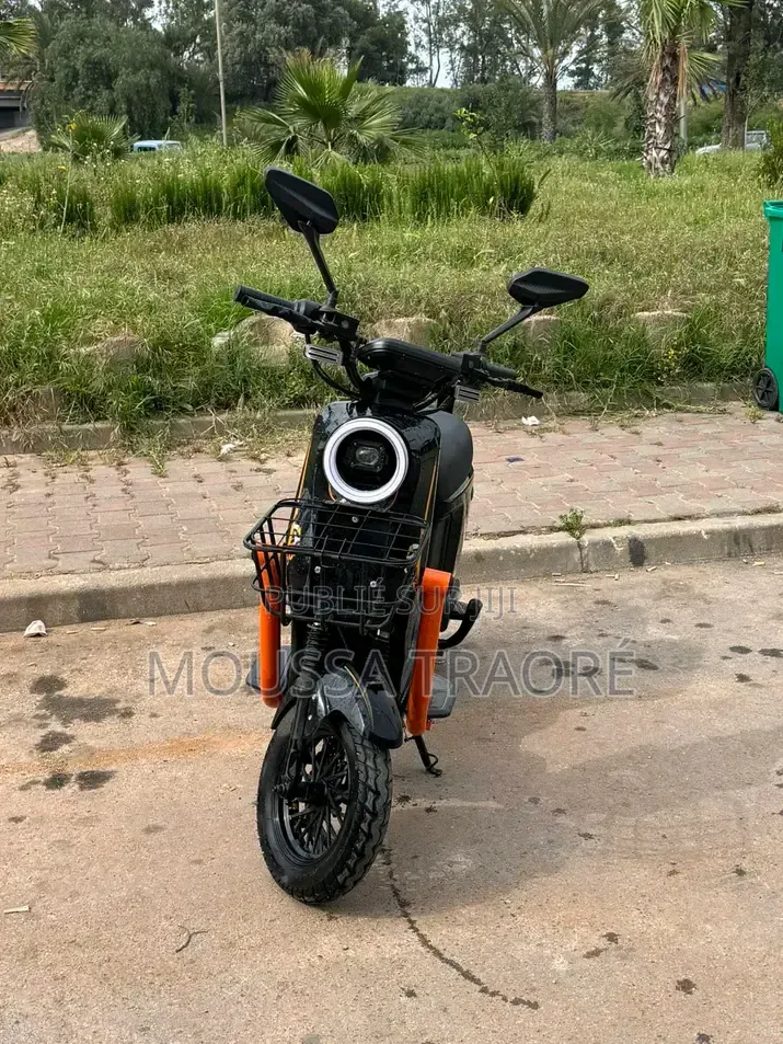 Nouveau Arctic Cat 550 2025 Noir