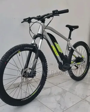 Vélo Électrique