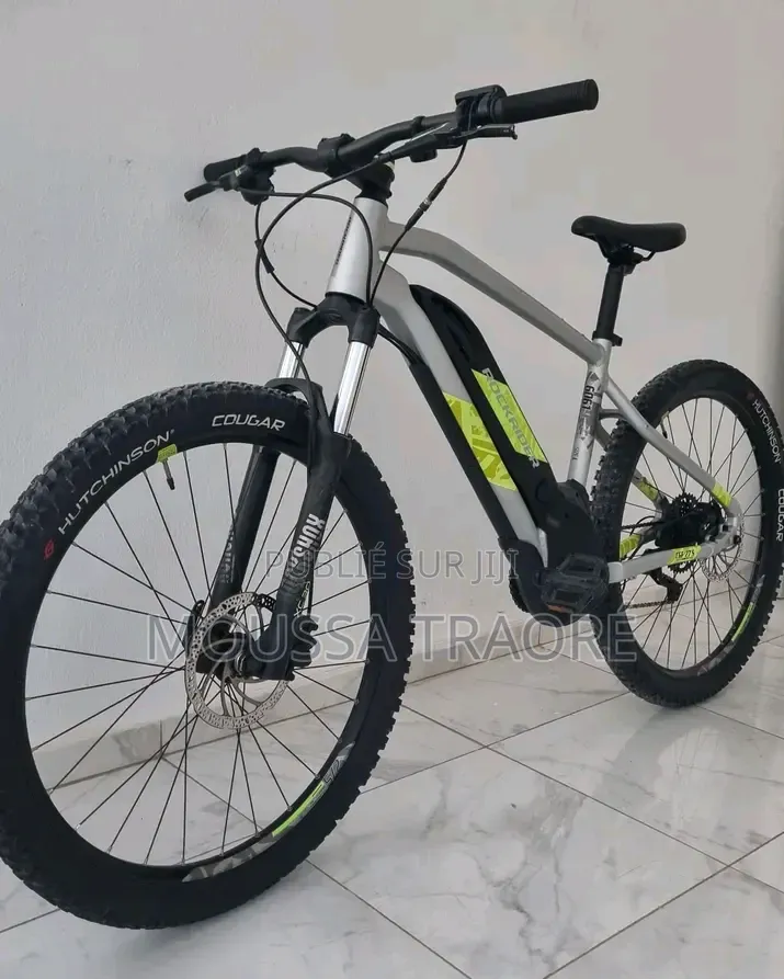 Vélo Électrique