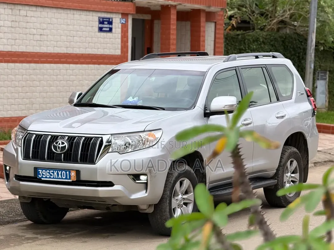 Toyota Land Cruiser Prado 4.0 Petrol TX-L 2022 Gris