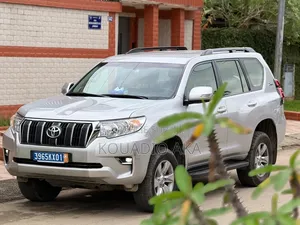 Toyota Land Cruiser Prado 4.0 Petrol TX-L 2022 Gris