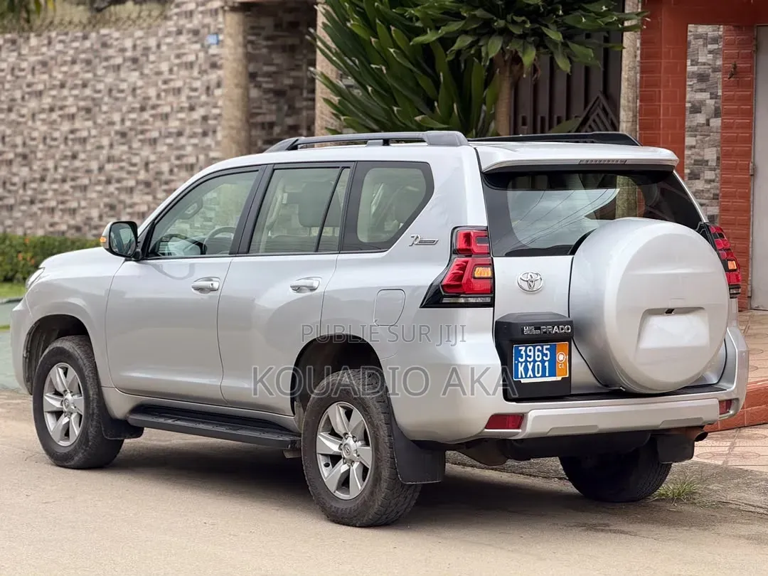 Toyota Land Cruiser Prado 4.0 Petrol TX-L 2022 Gris