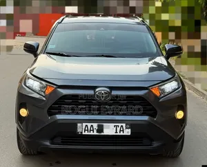 Toyota RAV4 XLE AWD 2020 Gris