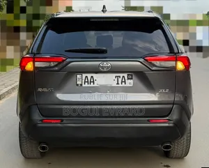 Toyota RAV4 XLE AWD 2020 Gris
