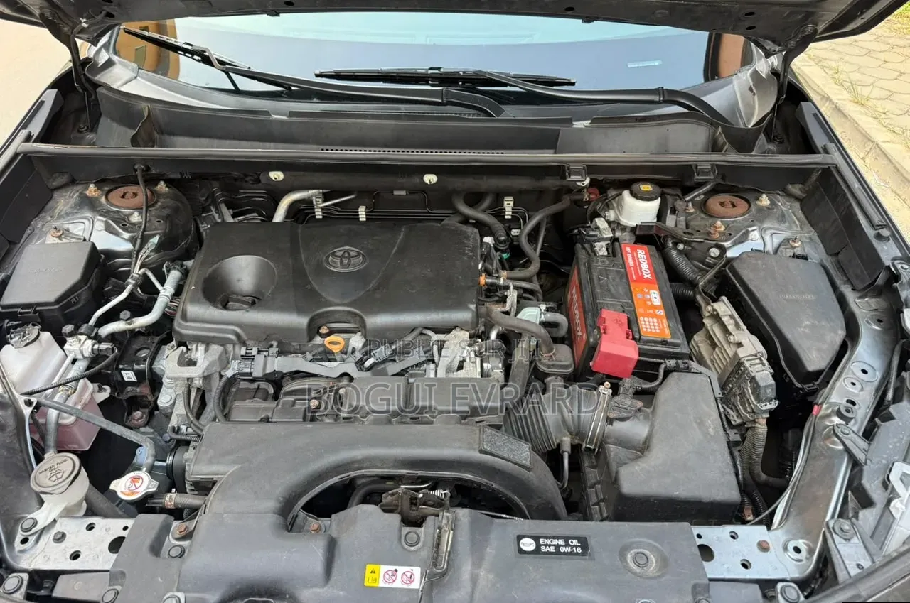 Toyota RAV4 XLE AWD 2020 Gris