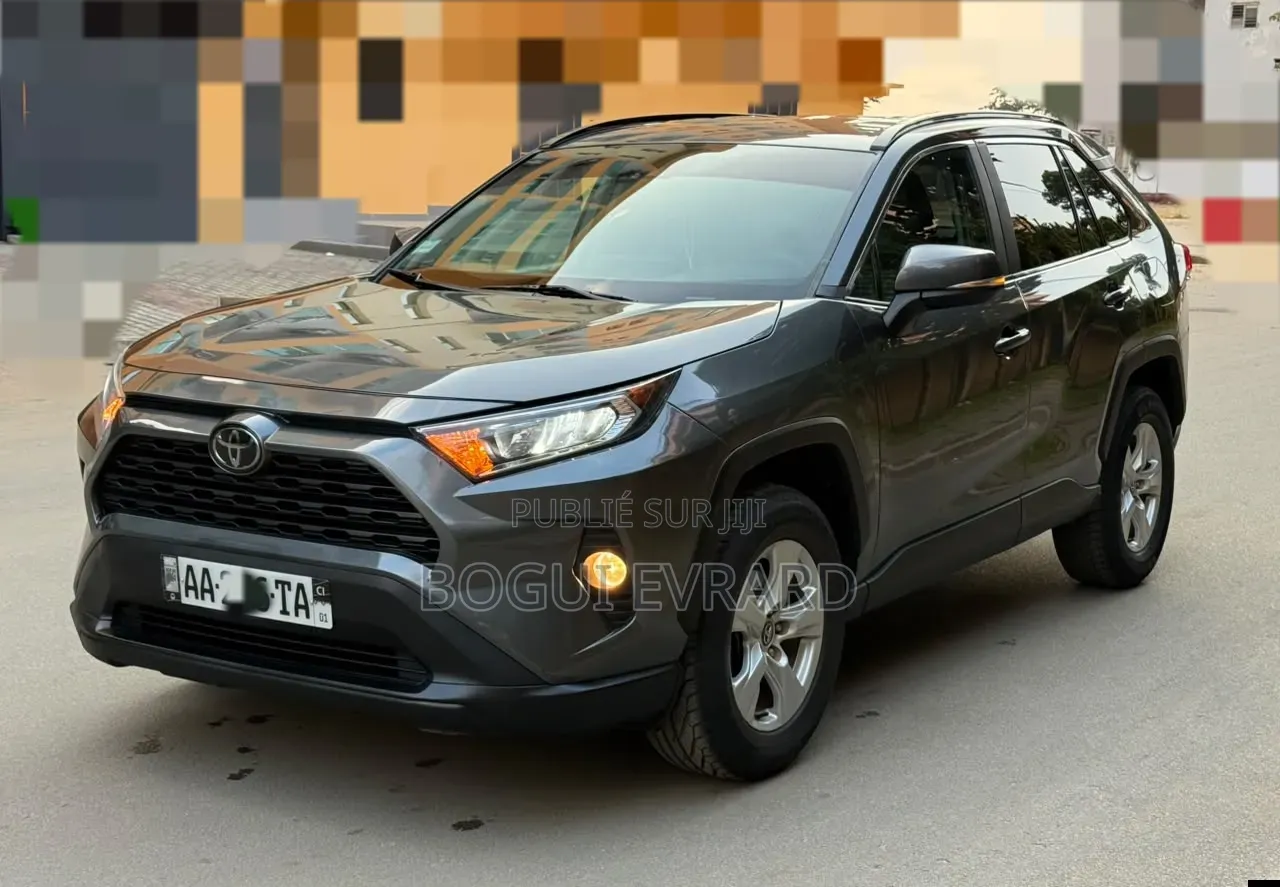Toyota RAV4 XLE AWD 2020 Gris