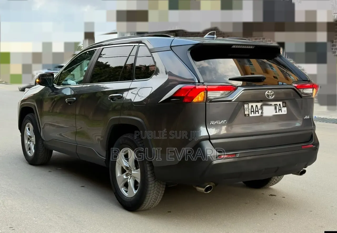 Toyota RAV4 XLE AWD 2020 Gris