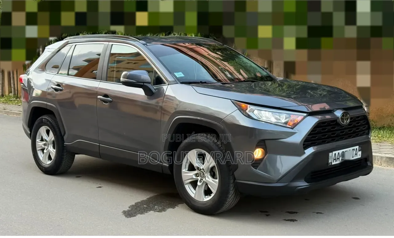 Toyota RAV4 XLE AWD 2020 Gris