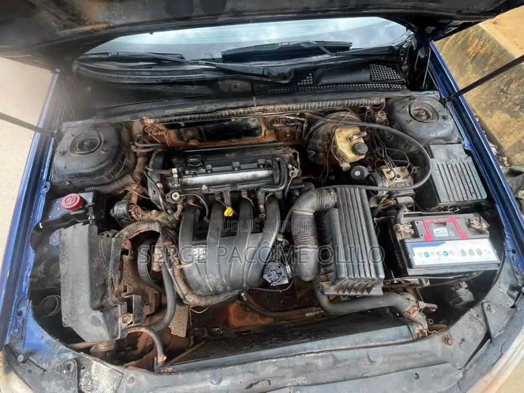 Peugeot 406 2004 Bleu