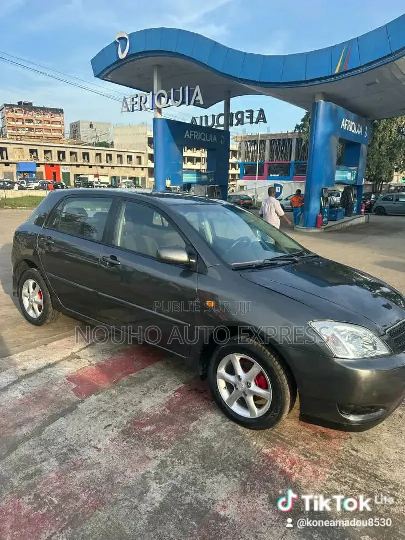 Toyota Corolla 2004 Gris