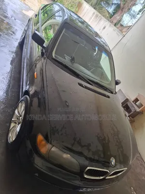 BMW 318i 2003 Gris