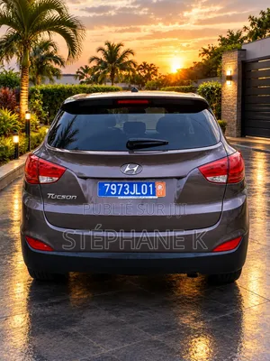 Hyundai Tucson 2014 Violet