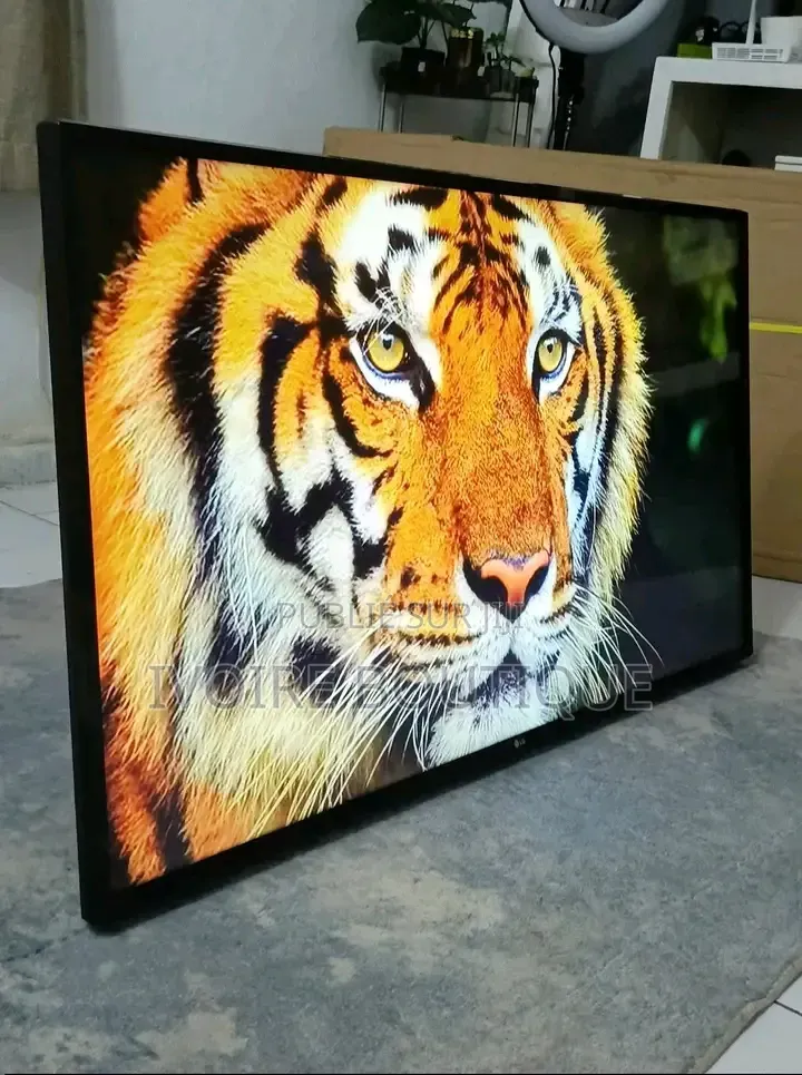 Télévision LG Androïde 50 Pouces
