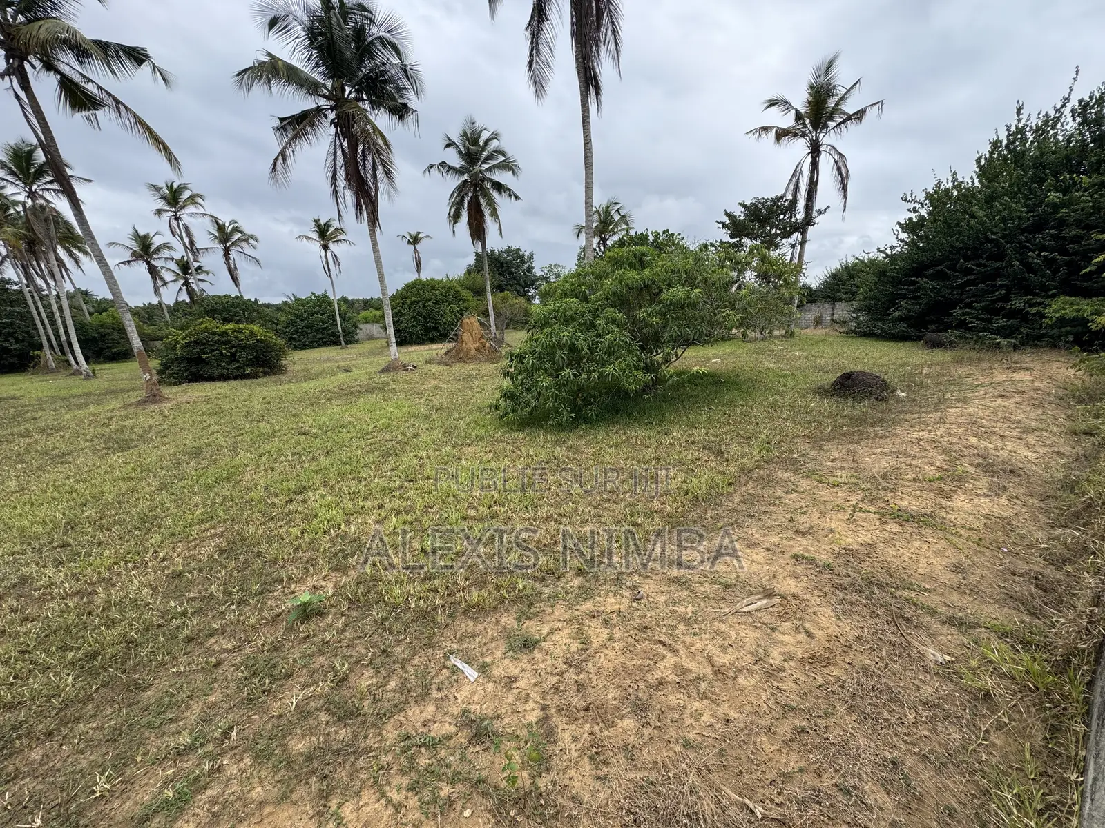 En Vente Terrain 1 Hectares Bordure Lac Brakré Attestation Villageoise