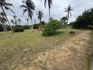En Vente Terrain 1 Hectares Bordure Lac Brakré Attestation Villageoise