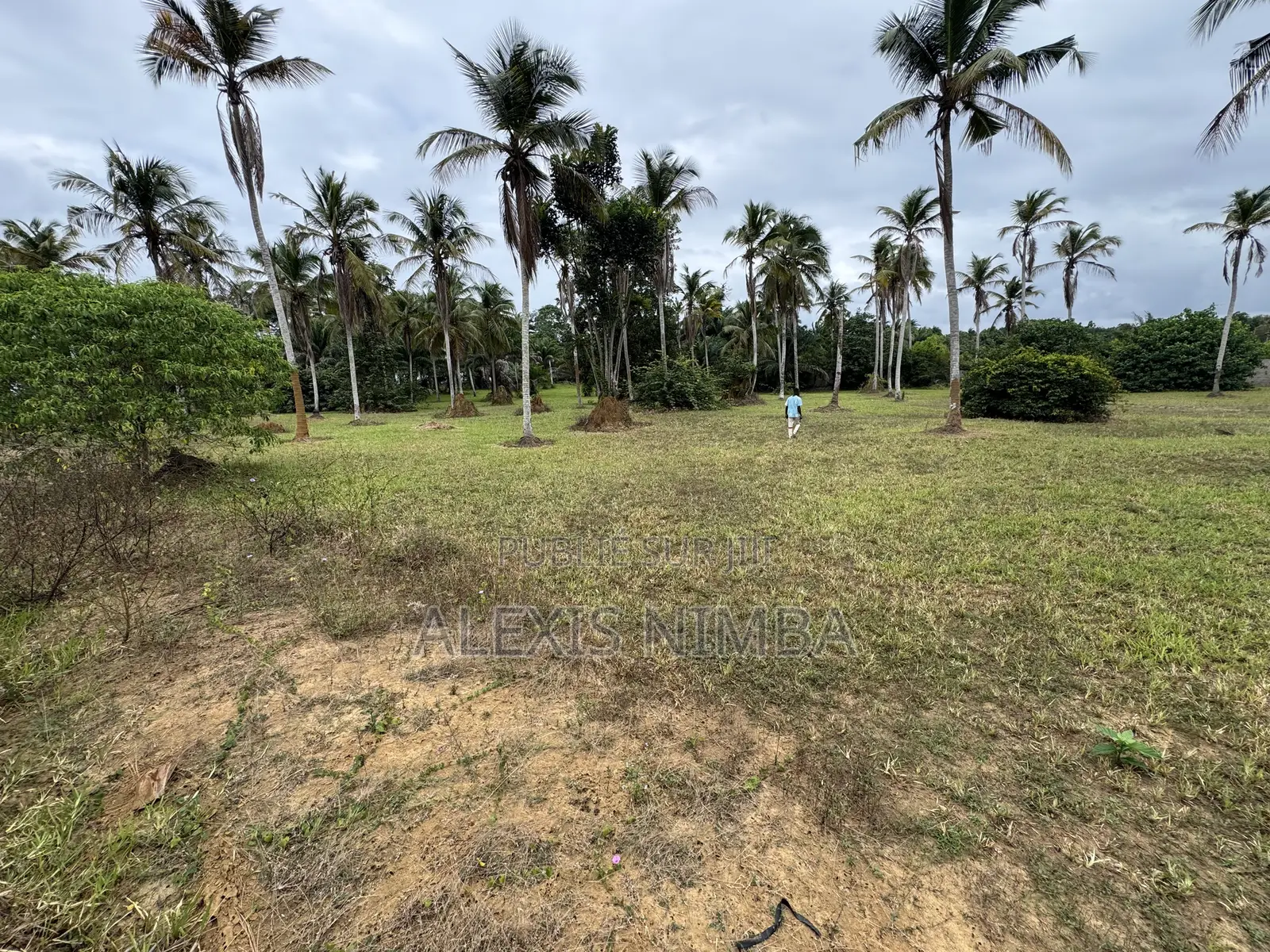 En Vente Terrain 1 Hectares Bordure Lac Brakré Attestation Villageoise