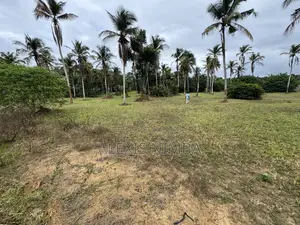 En Vente Terrain 1 Hectares Bordure Lac Brakré Attestation Villageoise