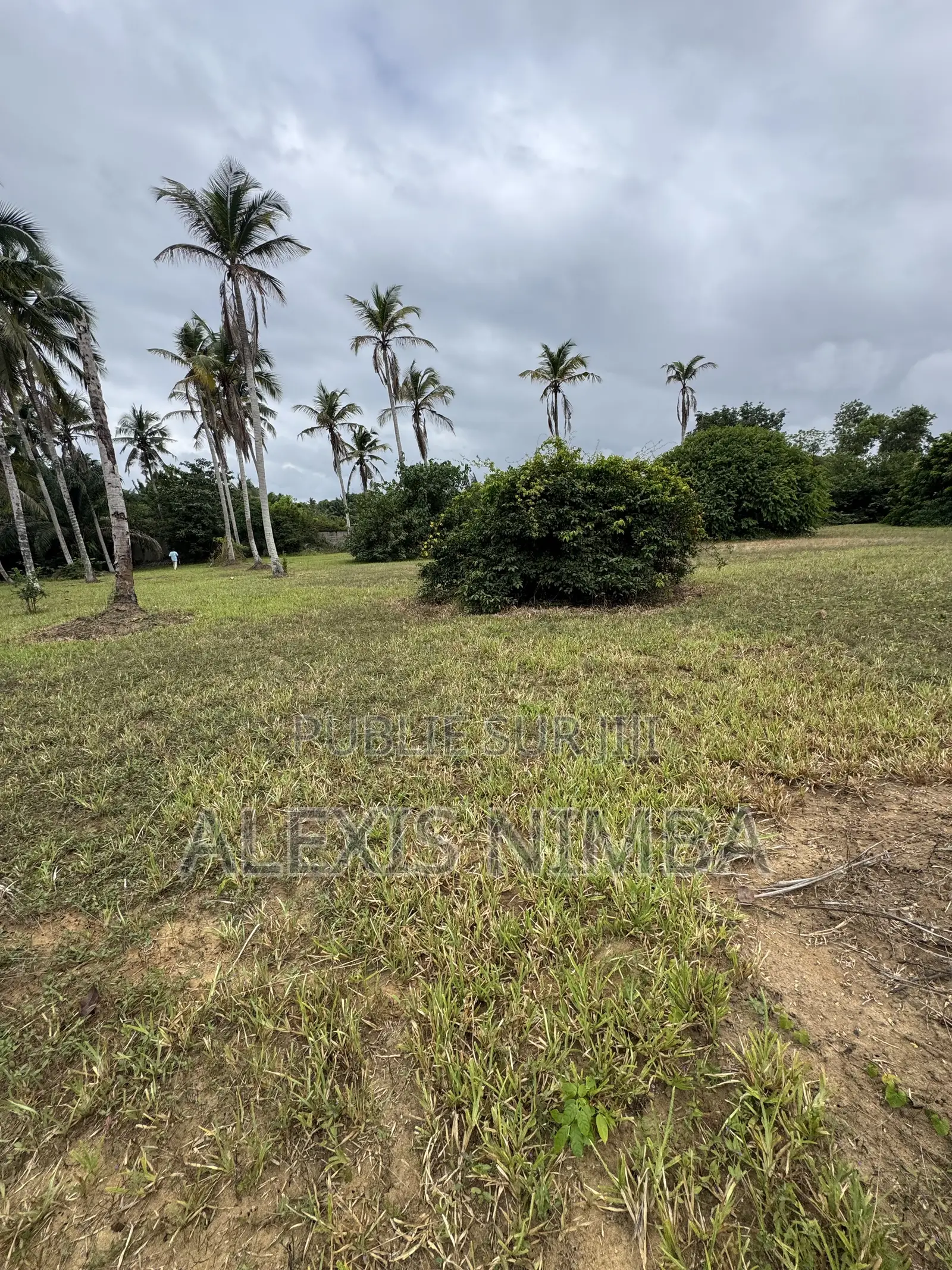 En Vente Terrain 1 Hectares Bordure Lac Brakré Attestation Villageoise