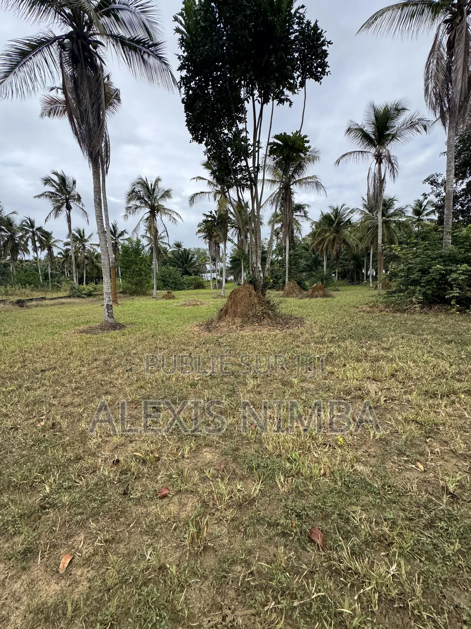 En Vente Terrain 1 Hectares Bordure Lac Brakré Attestation Villageoise