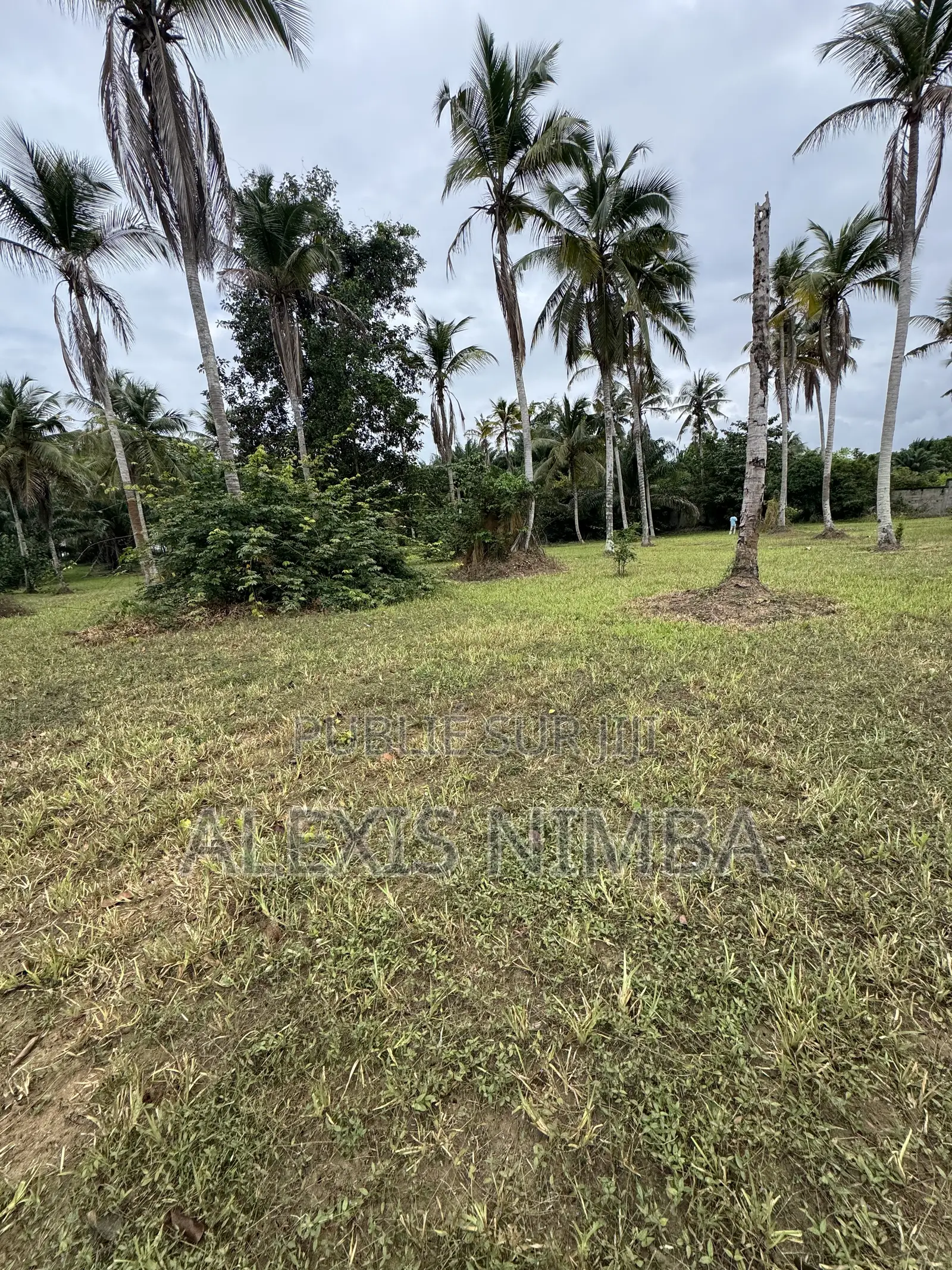 En Vente Terrain 1 Hectares Bordure Lac Brakré Attestation Villageoise