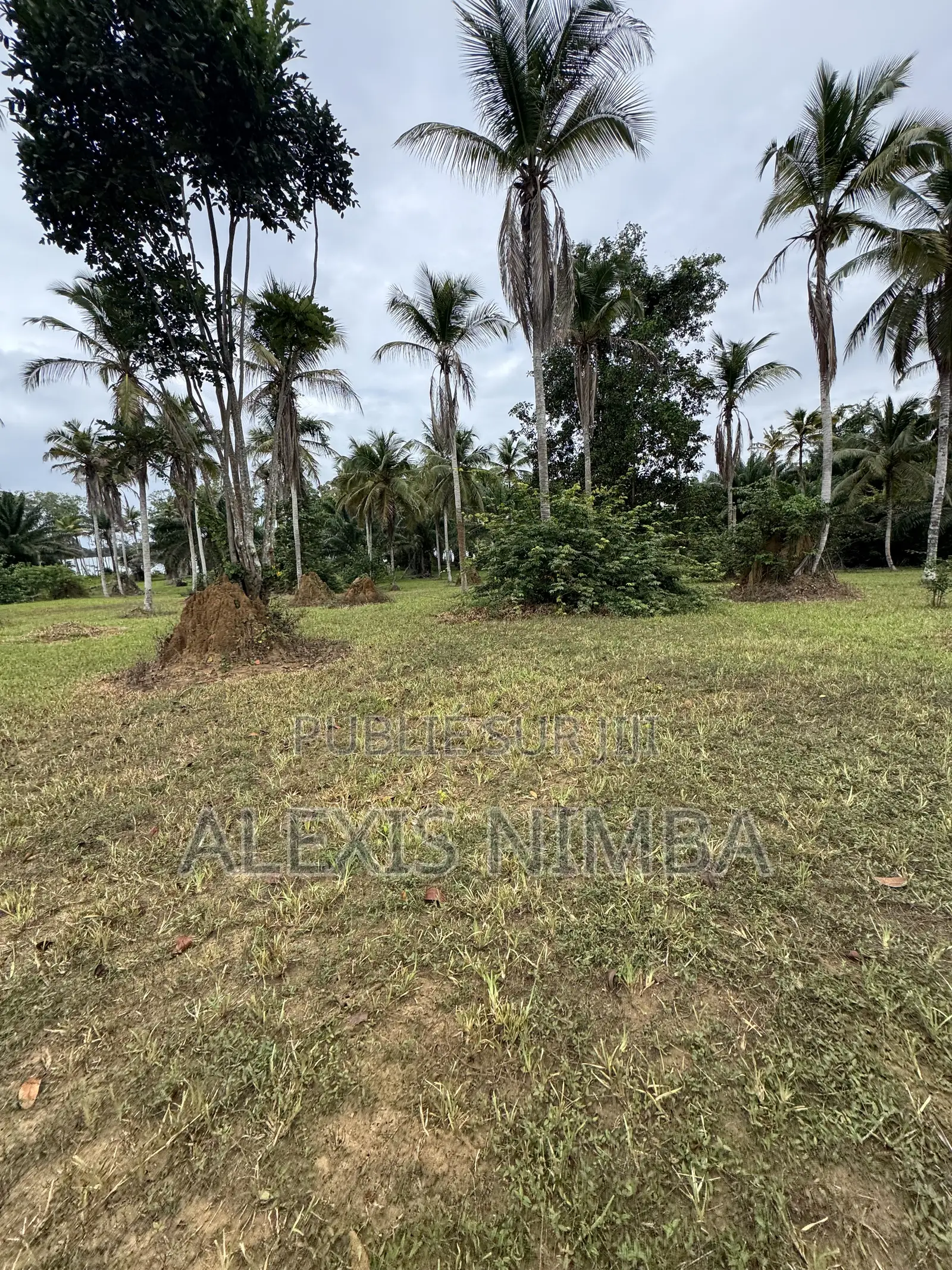 En Vente Terrain 1 Hectares Bordure Lac Brakré Attestation Villageoise