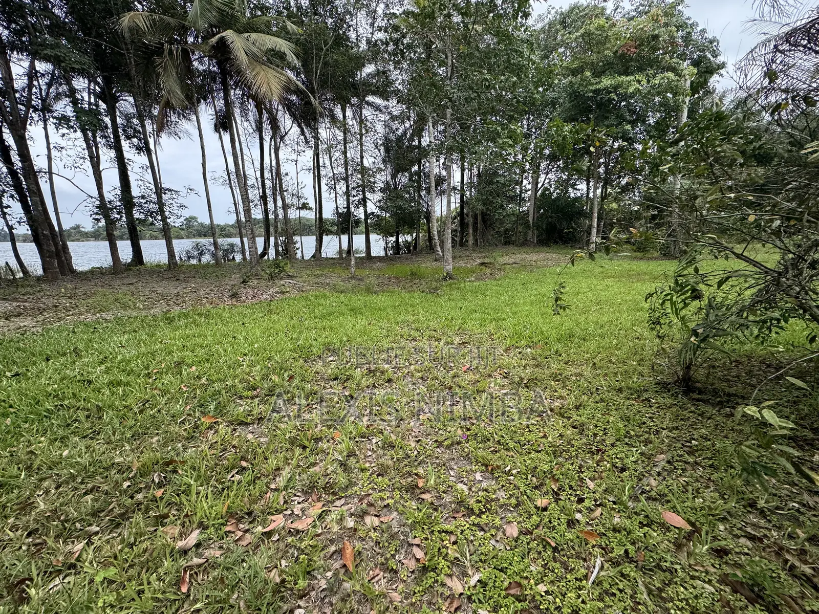 En Vente Terrain 1 Hectares Bordure Lac Brakré Attestation Villageoise
