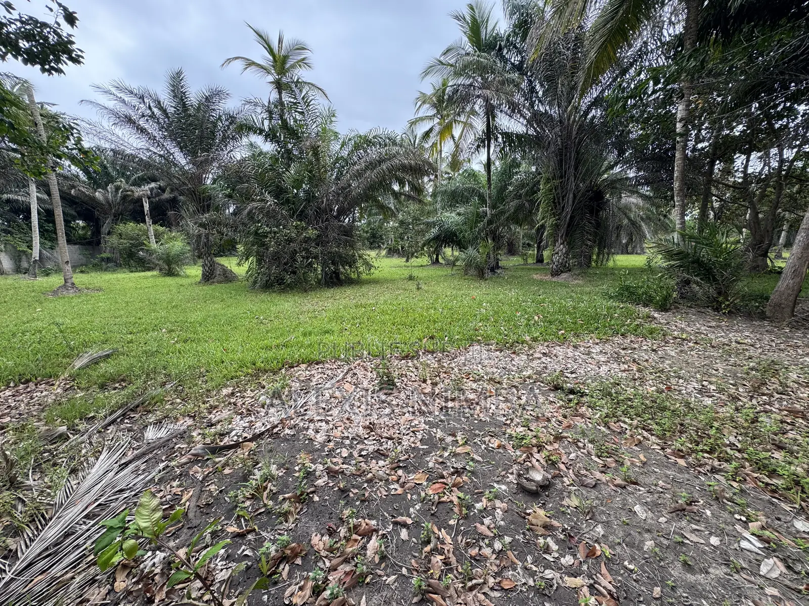 En Vente Terrain 1 Hectares Bordure Lac Brakré Attestation Villageoise