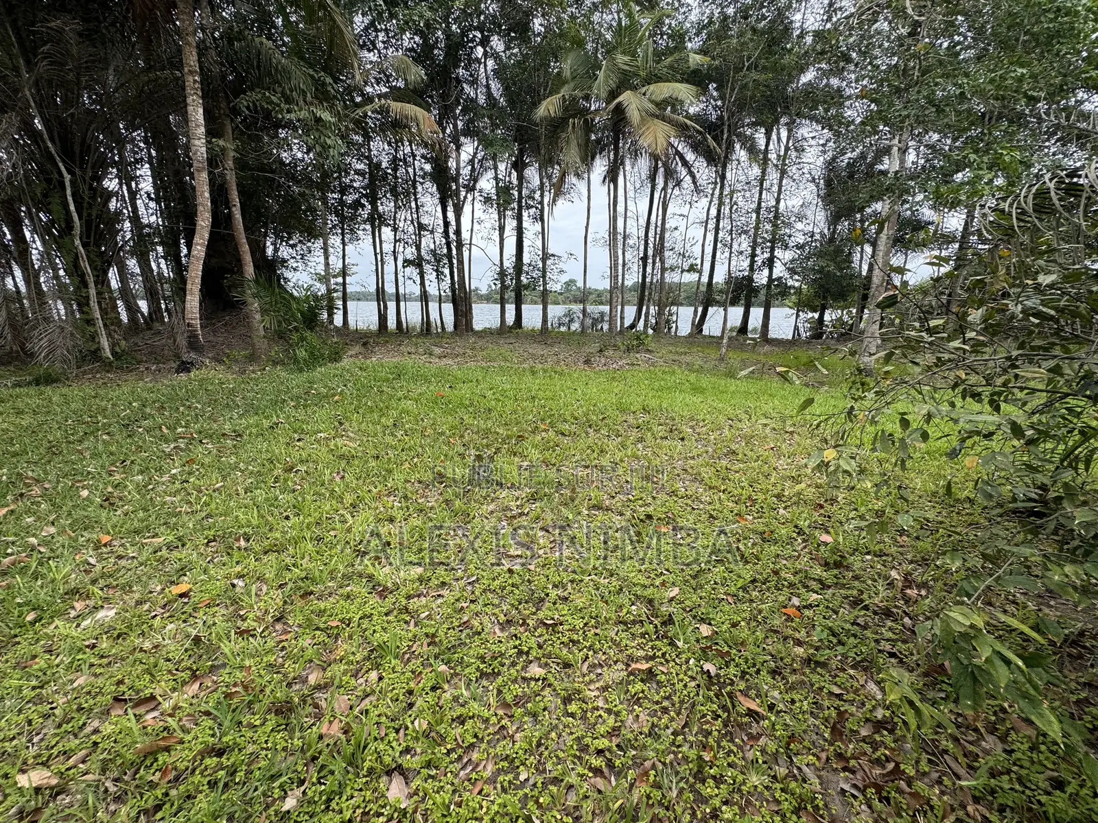 En Vente Terrain 1 Hectares Bordure Lac Brakré Attestation Villageoise