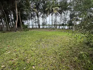 En Vente Terrain 1 Hectares Bordure Lac Brakré Attestation Villageoise