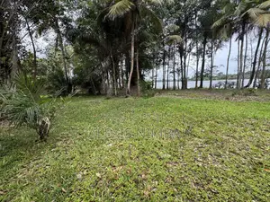 En Vente Terrain 1 Hectares Bordure Lac Brakré Attestation Villageoise