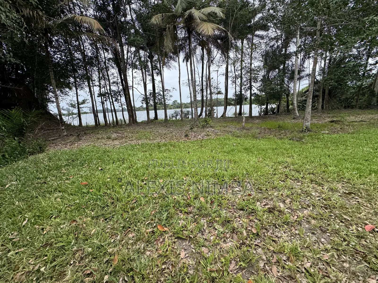 En Vente Terrain 1 Hectares Bordure Lac Brakré Attestation Villageoise