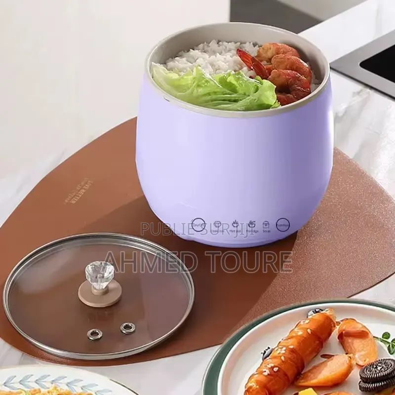 Chauffe-Repas Électrique Multifonction