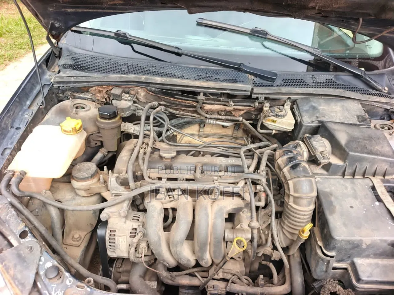 Ford Focus 2004 Bleu