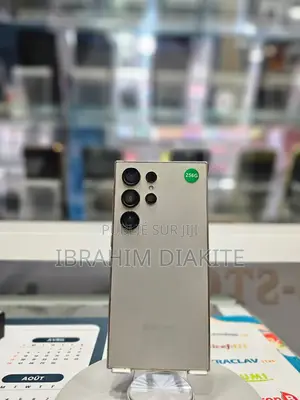 Samsung Galaxy S24 Ultra 256 GB Autre