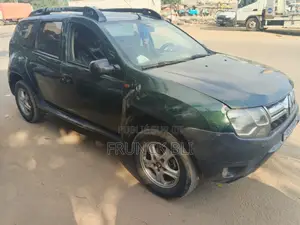 Renault Duster 2013 Vert
