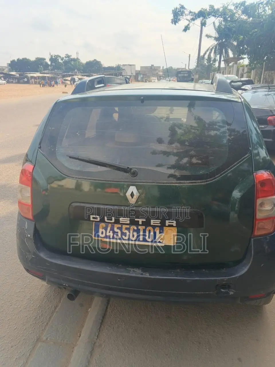 Renault Duster 2013 Vert