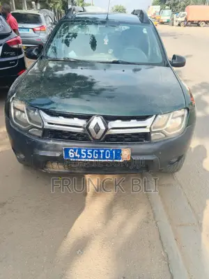Renault Duster 2013 Vert