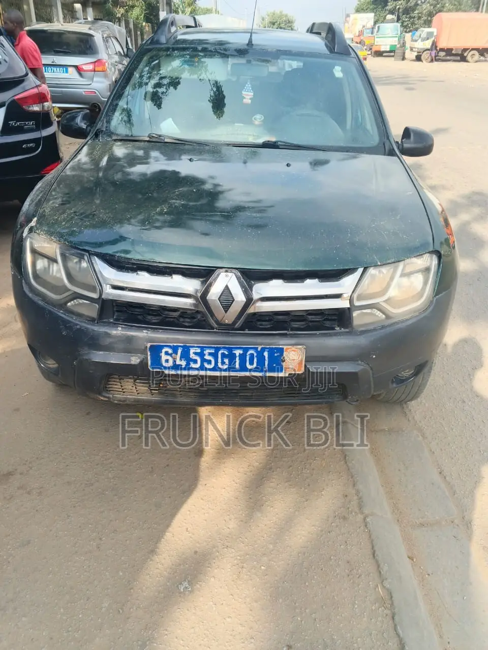 Renault Duster 2013 Vert