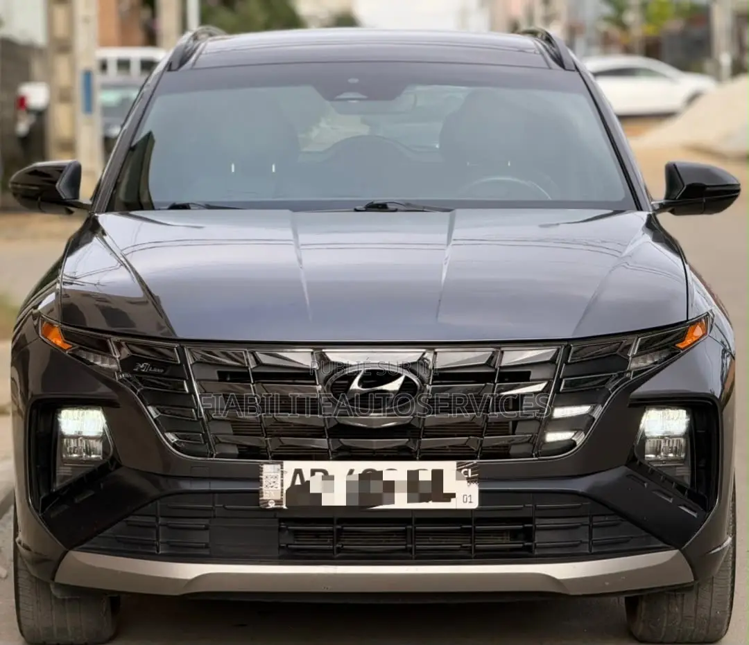 Hyundai Tucson 2024 Gris