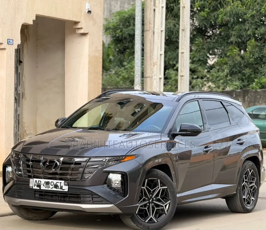 Hyundai Tucson 2024 Gris
