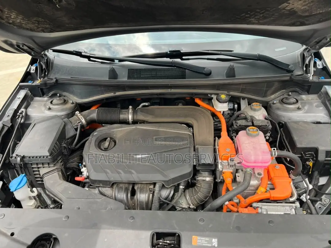 Kia Sportage 2022 Gris