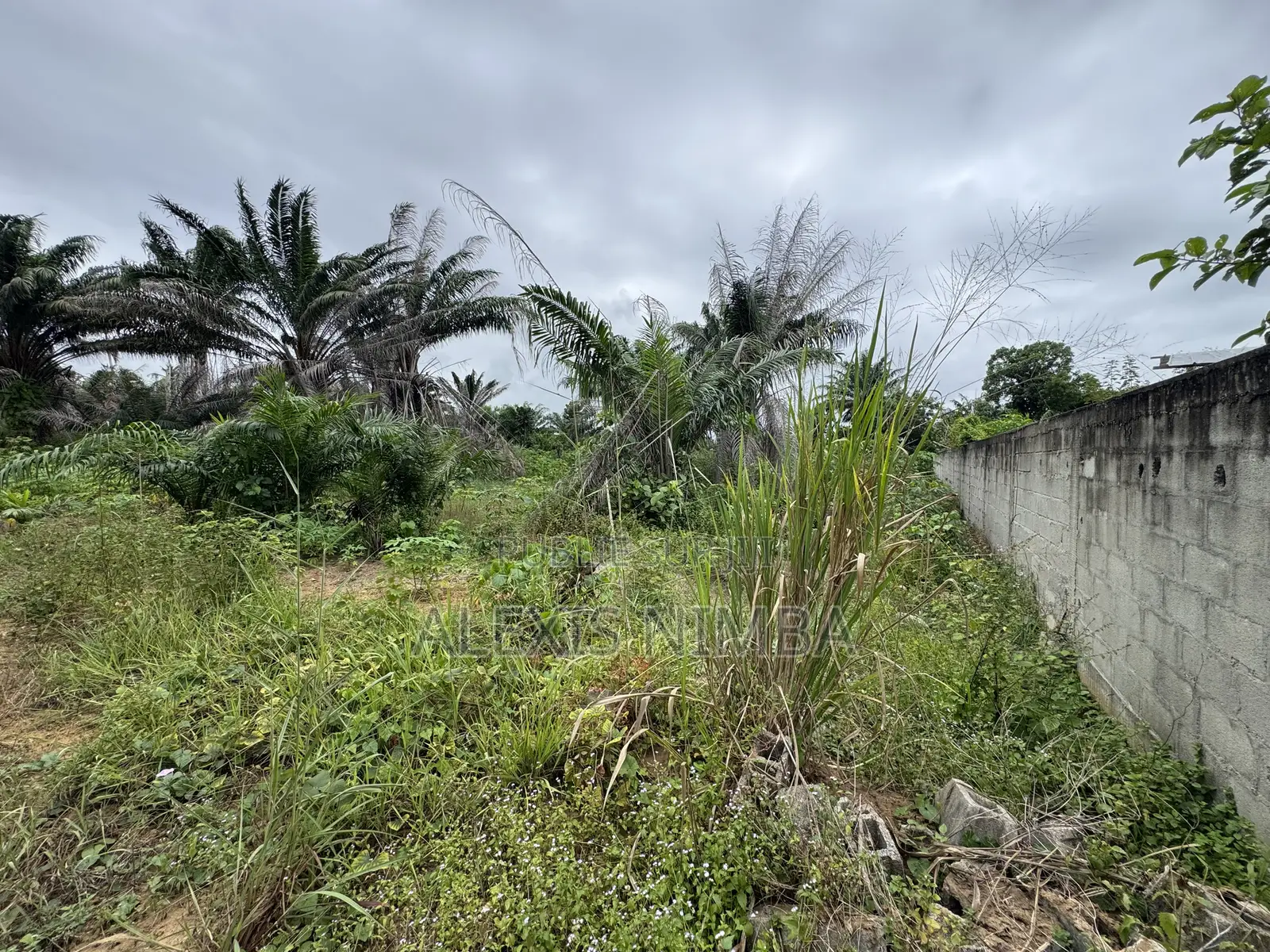 En Vente Terrain 1090m2 ACD Bordure Lac Brakré Baie Des Milliardaires