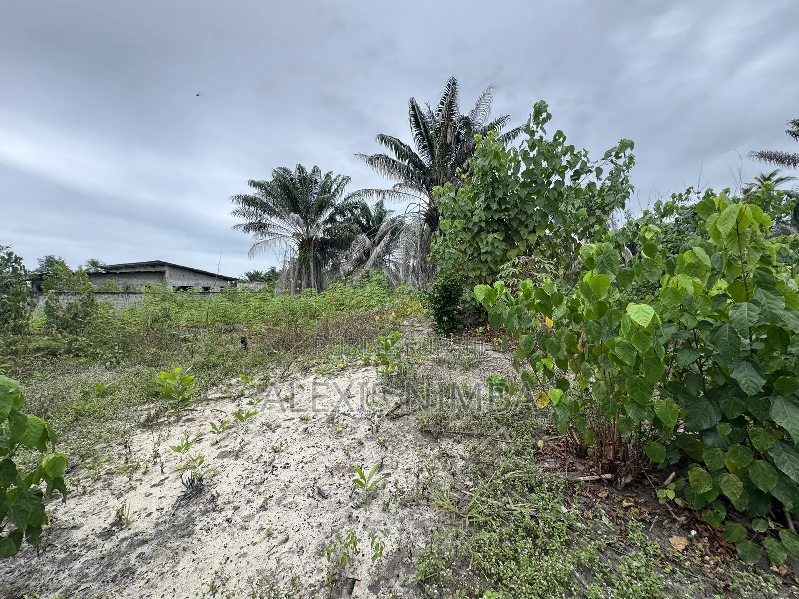 En Vente Terrain 1090m2 ACD Bordure Lac Brakré Baie Des Milliardaires