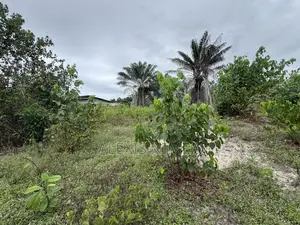 En Vente Terrain 1090m2 ACD Bordure Lac Brakré Baie Des Milliardaires